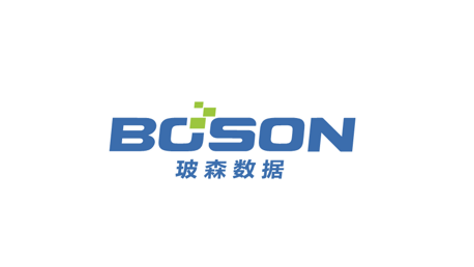 上海玻森数据科技有限公司